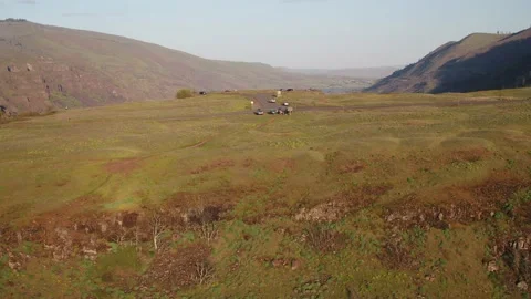 Rowena Crest Aerials Stock Footage 152346296