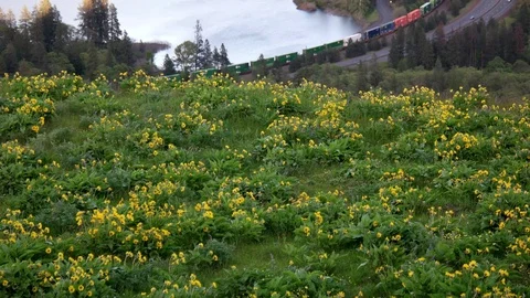Rowena Crest Viewpoint Vídeos de archivo 89454581