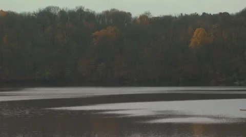 Rower on Lake in Autumn Stock Footage 11497045