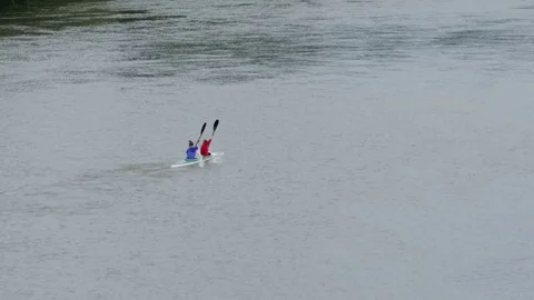 Rower paddling down the shallow waters of a river bordered by dense vegetatio Stock Footage 78218991