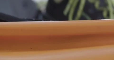 Rower sits in canoe slow motion Video stock 91909711