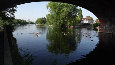 Rowers beat the heat on River Thames in Maidenhead Stock Footage 337621954