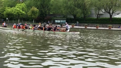 Rowers Dragon Boat Stock Footage 136977136