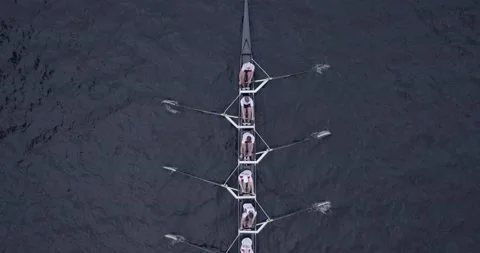 Rowers on the Elbe Topdown Stock Footage 164958127