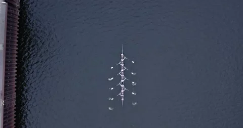 Rowers on the Elbe Topdown shot powering Stock Footage 164958037