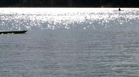 Rowers Stock-Footage 707185