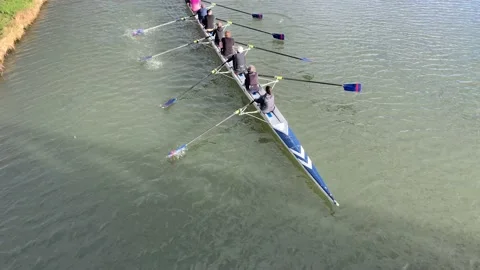Rowers Stock Footage 169809858