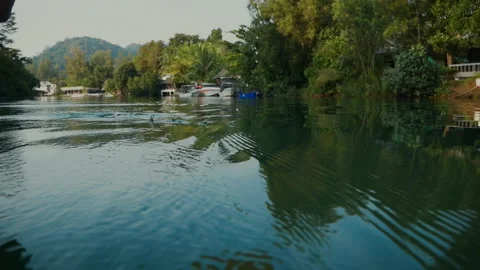 A rower's paddle on a river in thailand Stock Footage 174586760