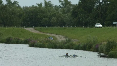 Rowers on the river Stock Footage 77719095