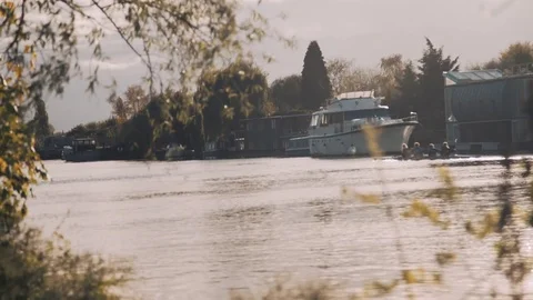 Rowers on river Stock Footage 78194342