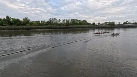 Rowers on River Stock Footage 286163723
