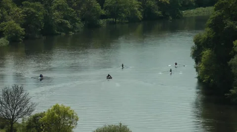 ROWERS ON THE RIVER THAMES Stock Footage 38218549