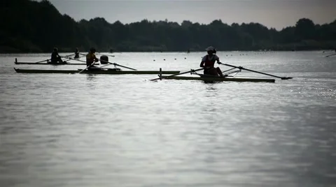 Rowers in training athletes Stock Footage 8555578