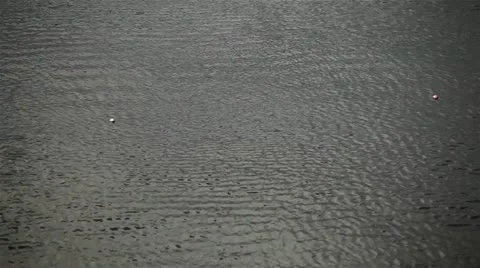 Rowers in training athletes Stock Footage 19065680