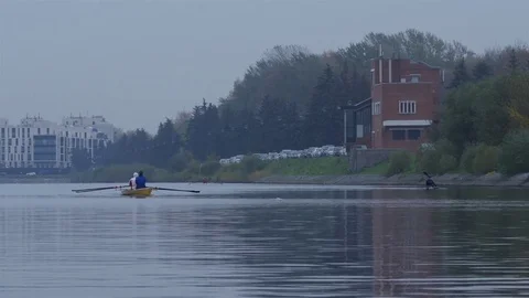 Rowers training on rowing canal, Full HD footage Video stock 70804710