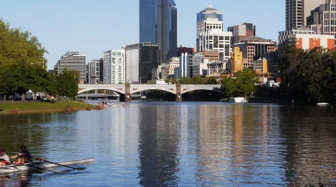 Rowers on yarra Stock Footage 32259021
