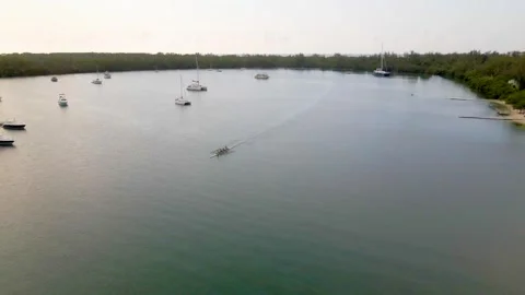 Rowing at Biscayne Bay in Miami 2K 스톡 동영상 244161398