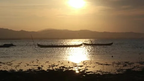 Rowing boat floating over the Limboto Lake waters Stock Footage 254457111