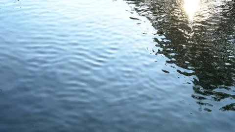 Rowing boat Stock Footage 106557048