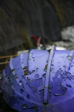 Rowing boat Stock Photos