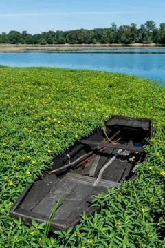 Rowing boat Stock Photos