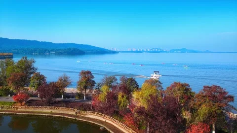 Rowing Boat racing in Competition along Coast with Aerial Drone. Stock-Footage 325969859