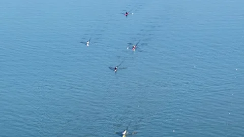 Rowing Boat racing in Competition along Coast with Aerial Drone. Stock Footage 325970798