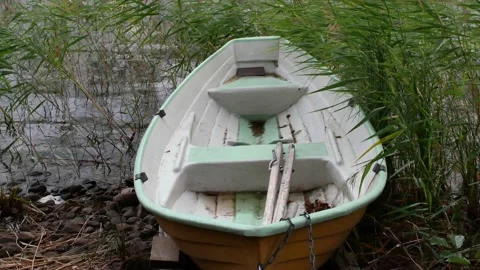 Rowing boat in the reeds Stock-Footage 206288956