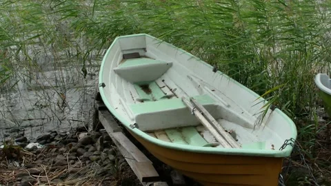 Rowing boat in the reeds Stock Footage 206288962