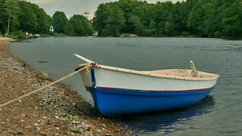 Rowing boat by the river Stock Footage 100844852