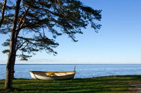Rowing boat under a pine tree Stock Photos