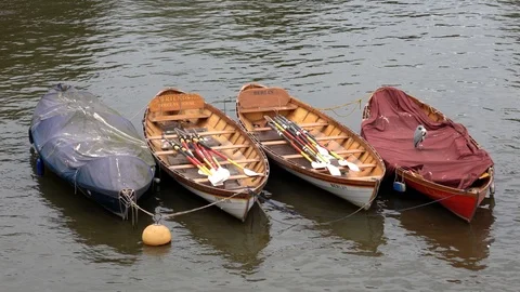 Rowing boats floating on the River Thames in Richmond Stock Footage 109185600