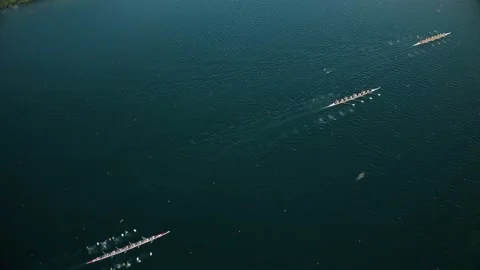 Rowing boats on the lake Stock Footage 238467173
