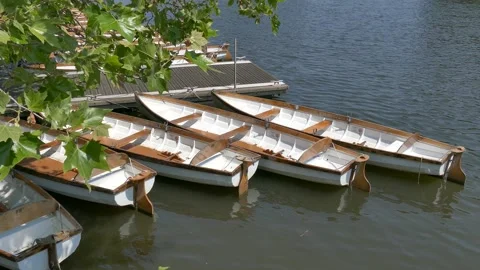 Rowing boats on the river Stock Footage 243919516