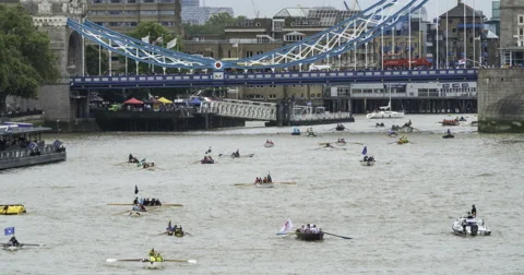 Rowing boats on the river Thames at Tower bridge Stock Footage 67356199