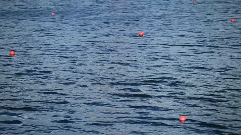 Rowing channel Loop ready File Stock Footage 39499406