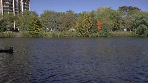 Rowing on the Charles river 2 - Boston - Cambridge Stock Footage 127734439