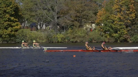 Rowing on the Charles river- Boston- Cambridge MA Stock Footage 127734480