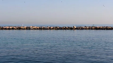 Rowing in the city Stock Footage 105433671
