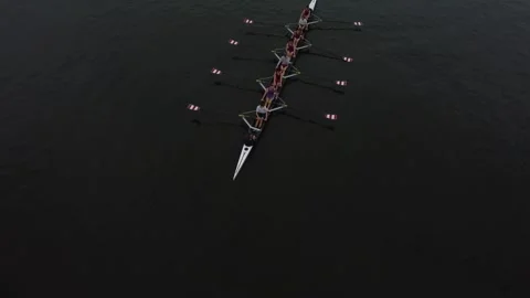 Rowing Crew Gliding Through Still Waters in Gent, Belgium Stock Footage 279379689