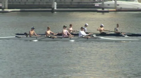 Rowing Crew on Hillsborough River Stock Footage 49145253