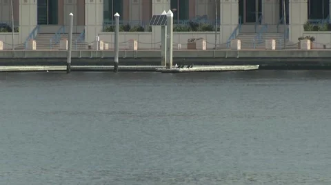 Rowing crew moves through shot Stock Footage 49145255