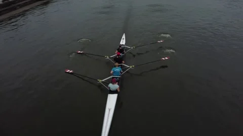Rowing Crew Practices on Calm Waters in Gent, Belgium Stock Footage 279379565