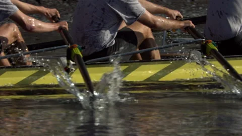 Rowing, Crew, Race or Regatta Stock Footage 237277836