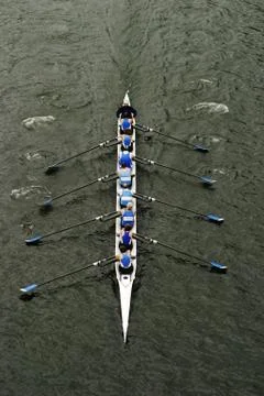 Rowing in crew races Stock Photos