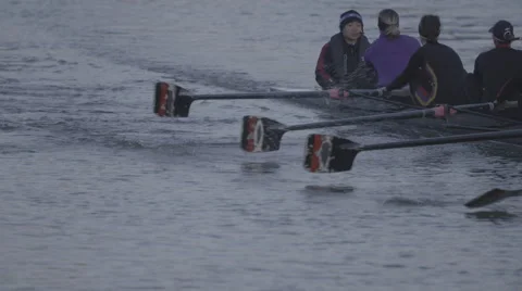 Rowing Crew in Training Session Slow Motion Stock Footage 47586763