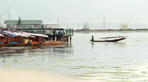 Rowing at Dal Lake Stock Footage 22731750