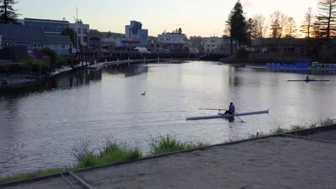 Rowing at dawn in California Stock Footage 238579162