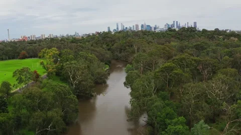Rowing Down Lake Stock Footage 244977297