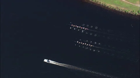Rowing Eights On Charles River 스톡 동영상 65422761